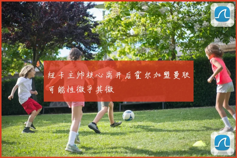 纽卡主帅核心离开后霍尔加盟曼联可能性微乎其微
