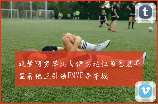 追梦阿努诺比与伊戈达拉角色差异显著他正引领FMVP争夺战